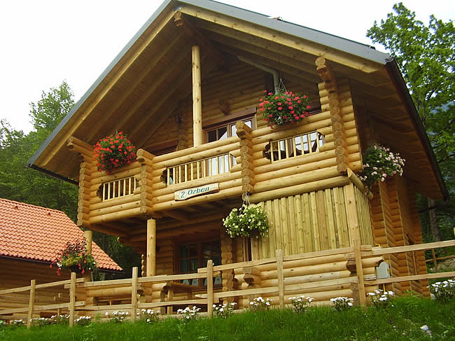 100203_camp_koren8