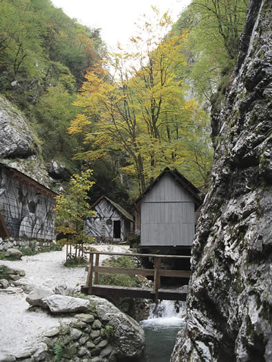 cerkno_franja