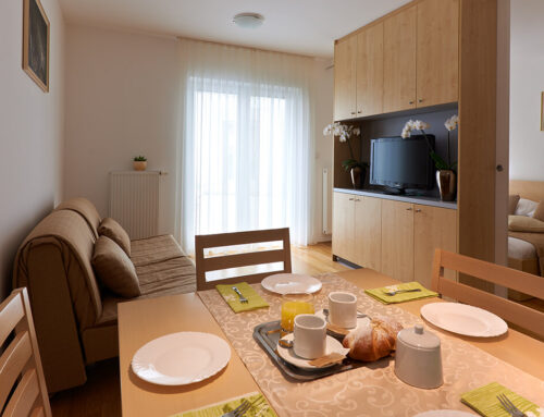 Appartments Proteus *** (Postojna)